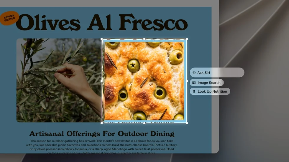 Интерфейс Visual Intelligence в macOS 27